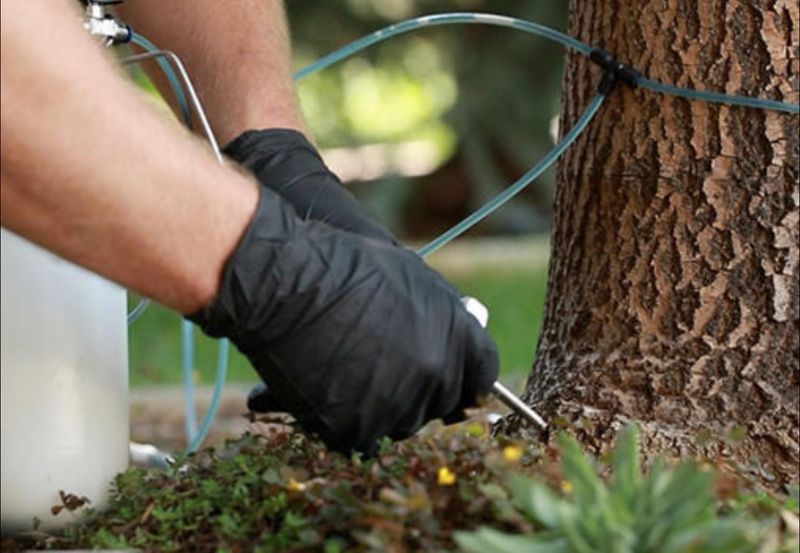 When To Call A Professional Arborist