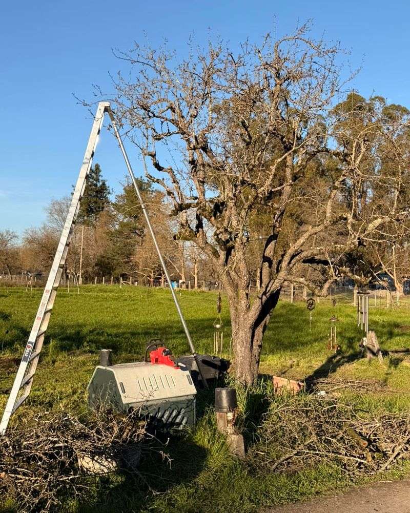 What To Do After Pruning For Faster Recovery