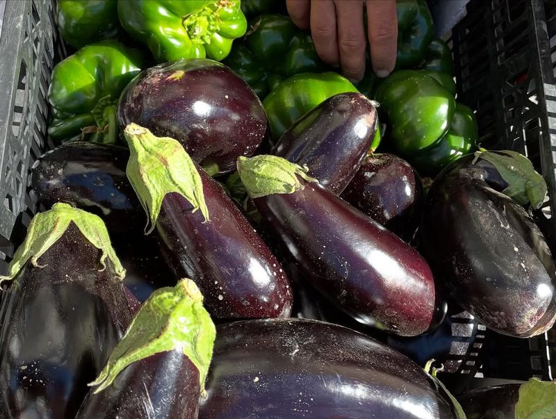 Choose Heat-Tolerant Vegetables