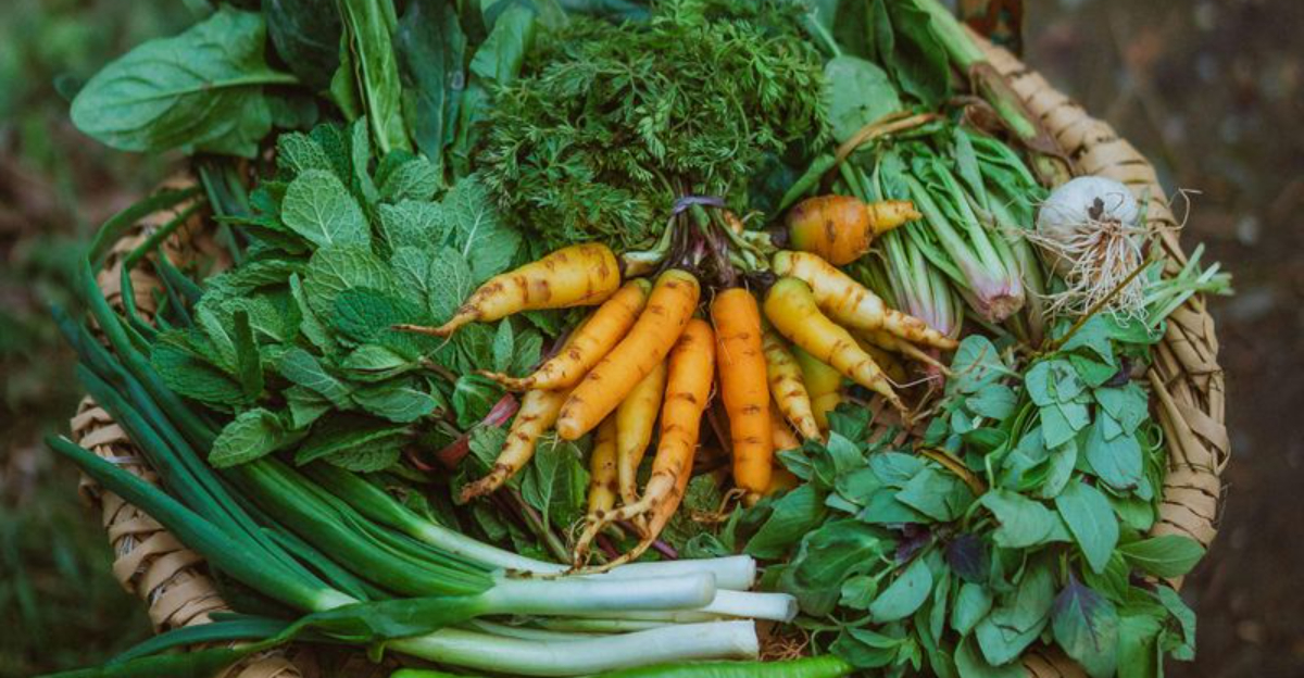 How To Start An Easy Vegetable Garden Anywhere In California