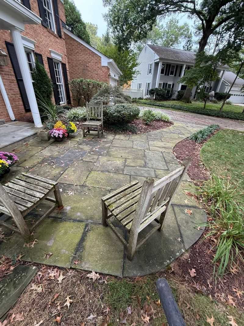 Where Moss And Algae Usually Show Up In Your Garden