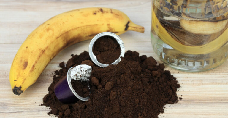 banana and coffee grounds (featured image)