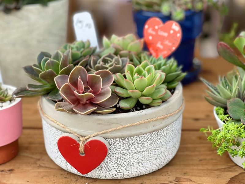 Understand the Soak and Dry Method