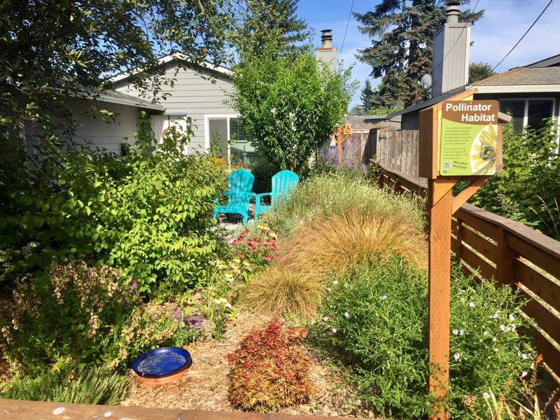 Simple Backyard Changes That Help Migrating Birds