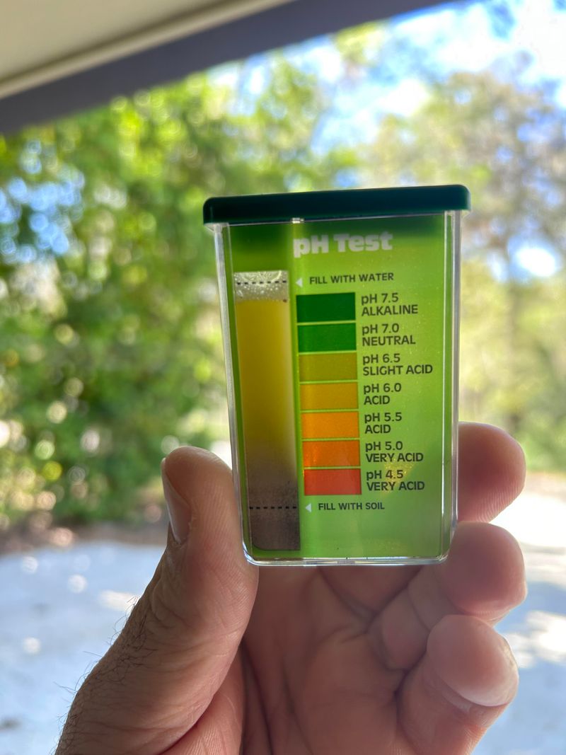Test Your Soil pH And Nutrient Levels