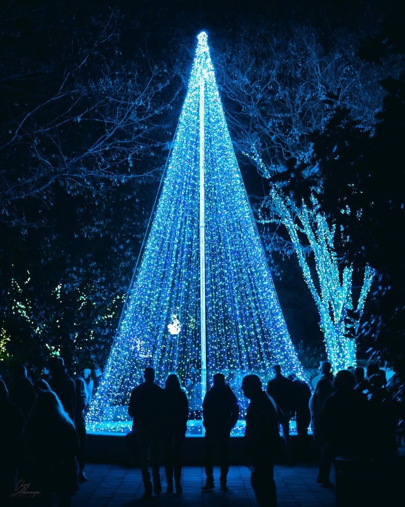 Who The Holiday Glow Experience Is Designed For