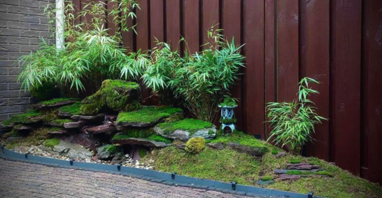 garden (featured image)