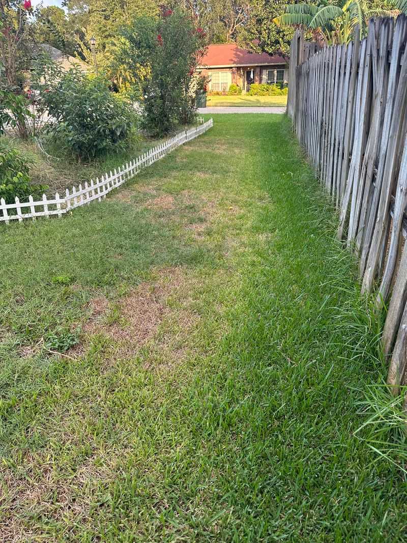 Regional Differences In Florida Winter Mowing