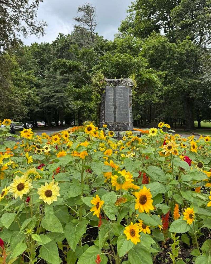 Seasonal Sun Angles Shift More Than Gardeners Expect