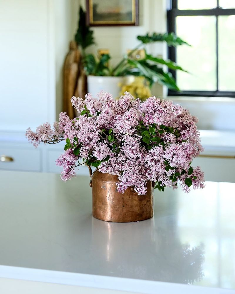 Lilacs