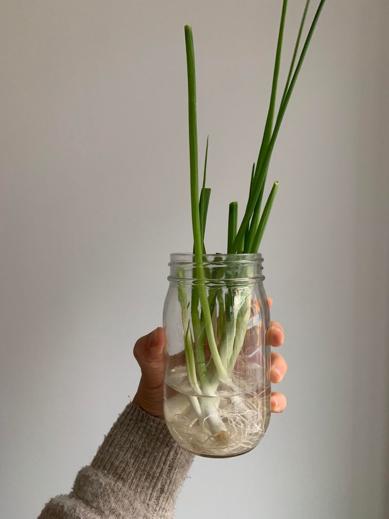 Mason Jar Layered Gardens
