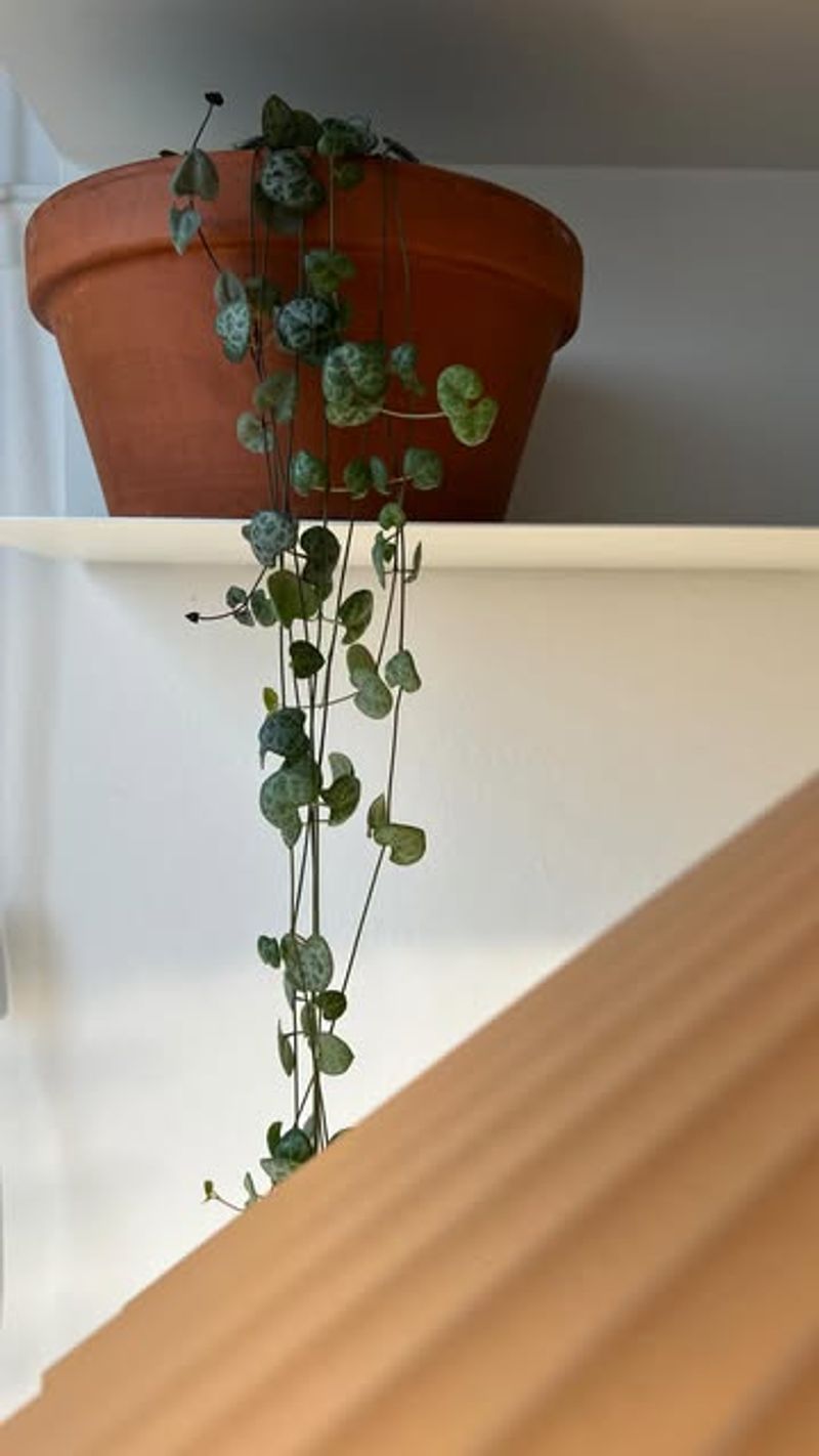 I'm Treating Winter As Survival Mode, Not Growth Mode