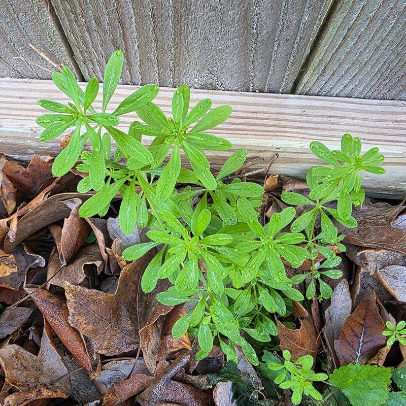 Using Treatments At The Wrong Time Of Year