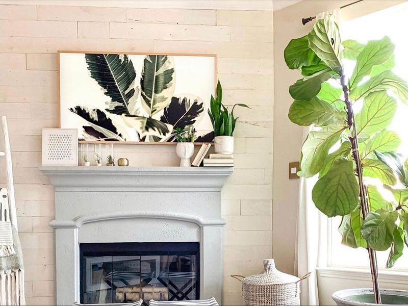 Placing Plants Too Close To Heat Sources