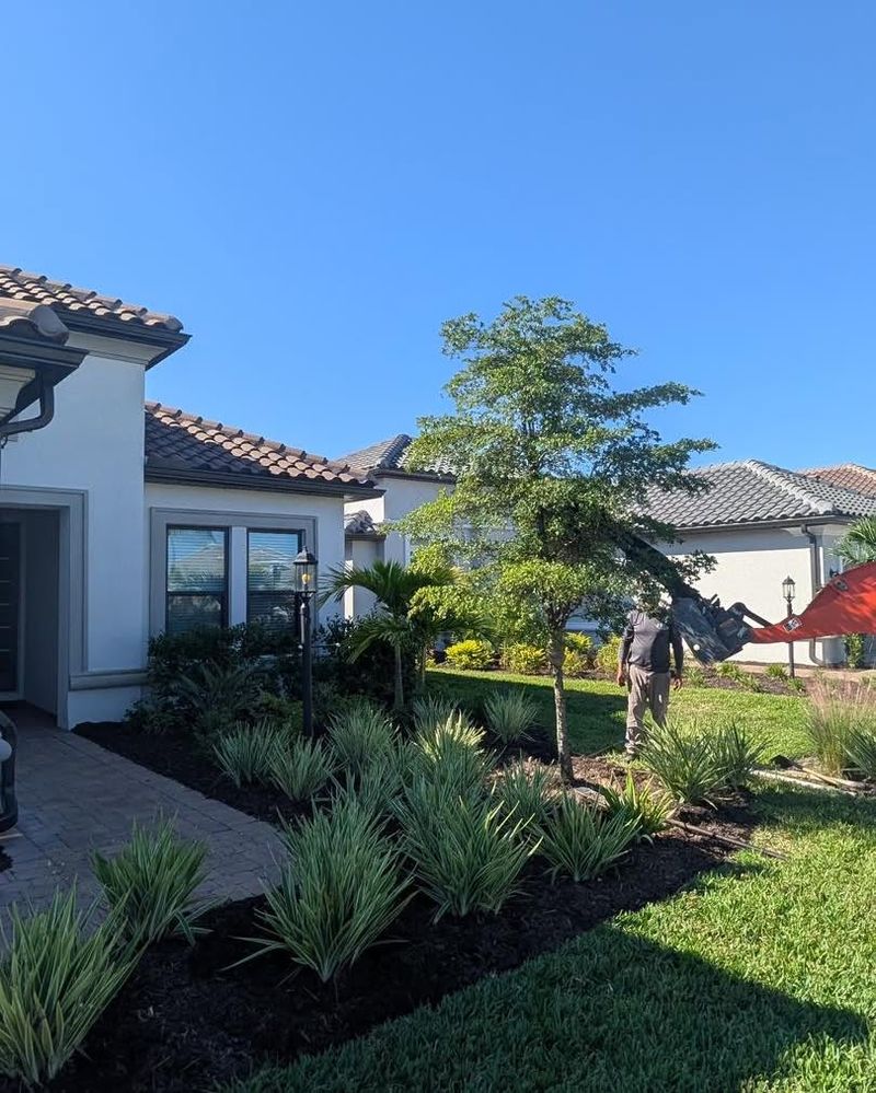 Planting Too Close To Structures