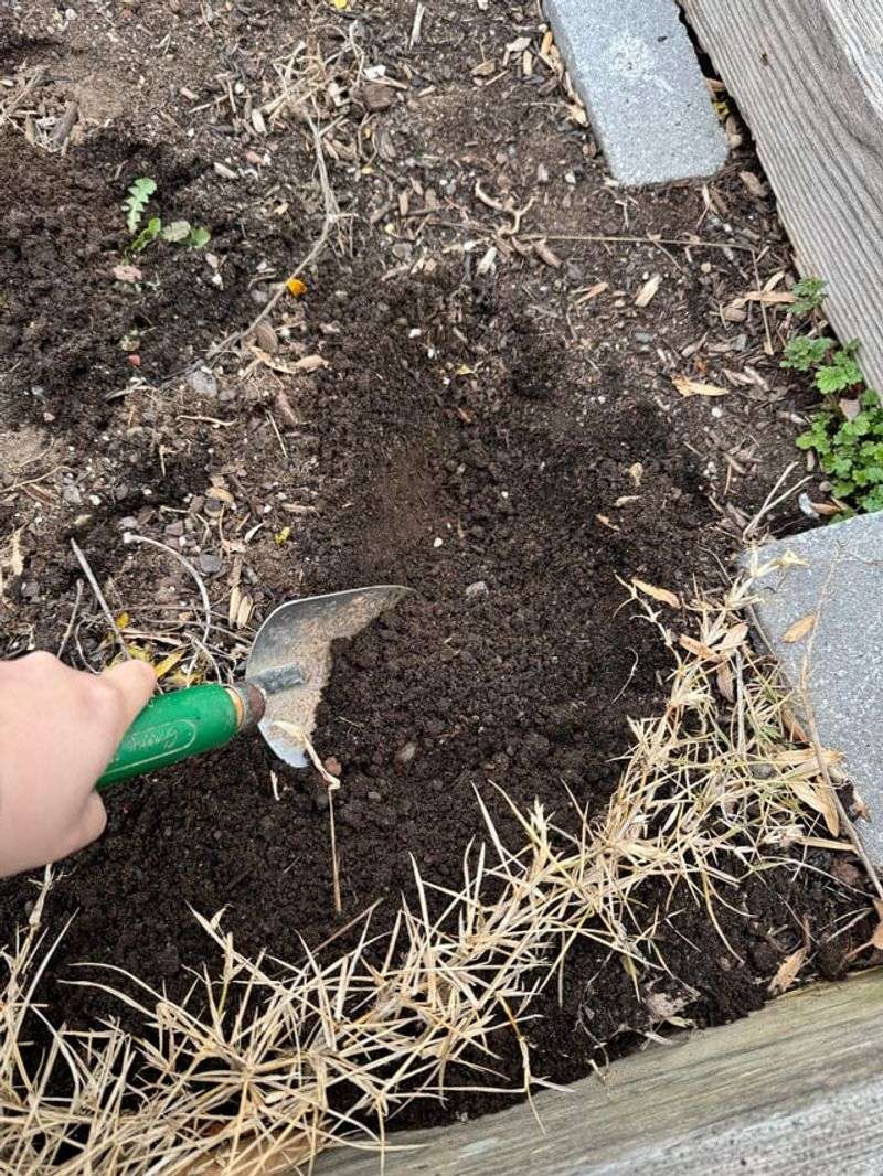 Compacting Soil With Foot Traffic