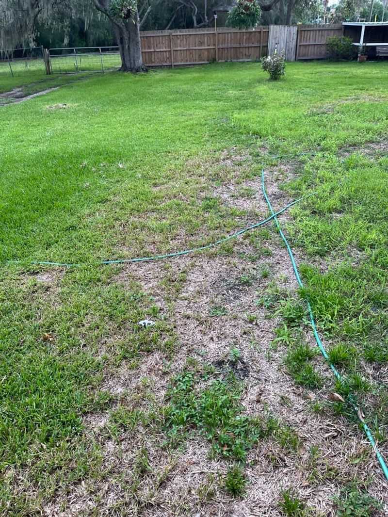 Overusing Fertilizer