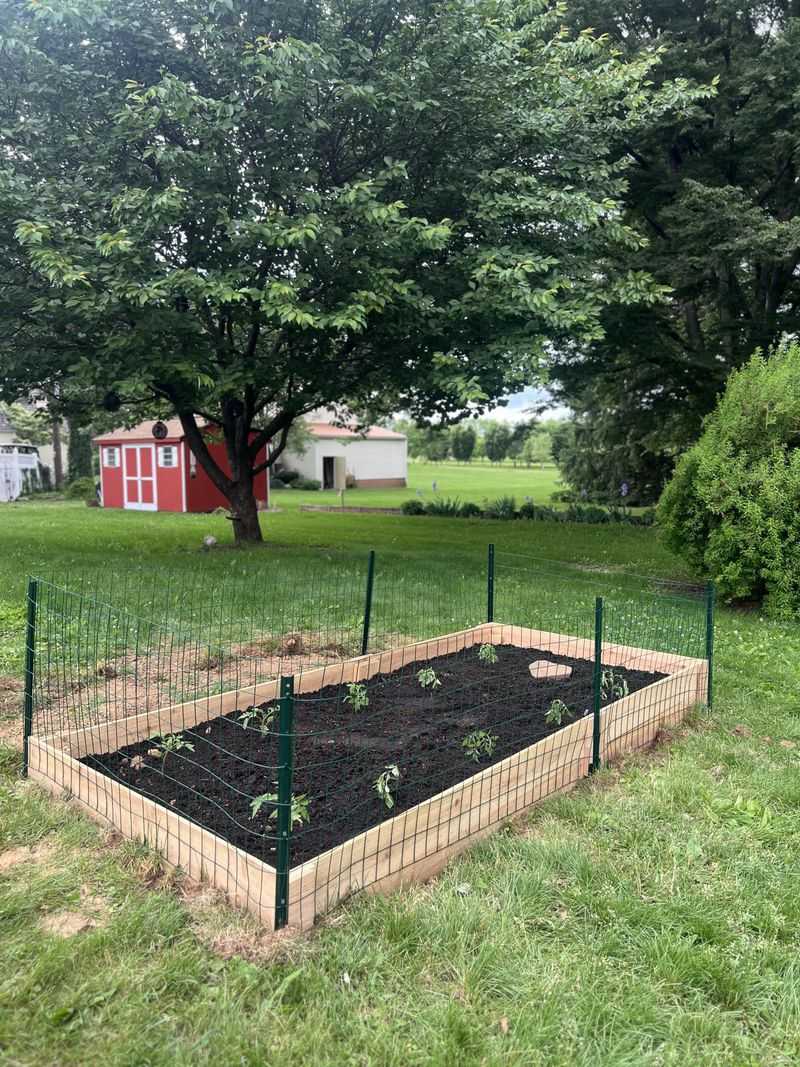 Overwatering Newly Planted Landscapes