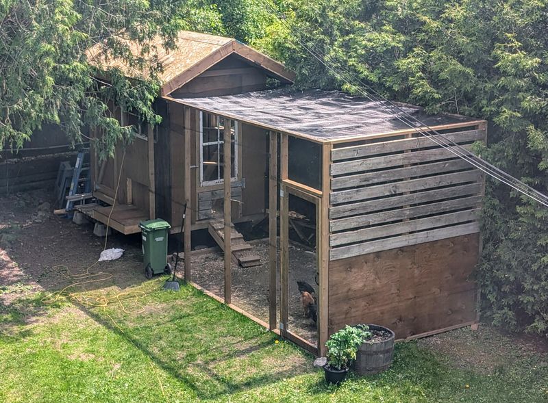 Unpermitted Yard Structures