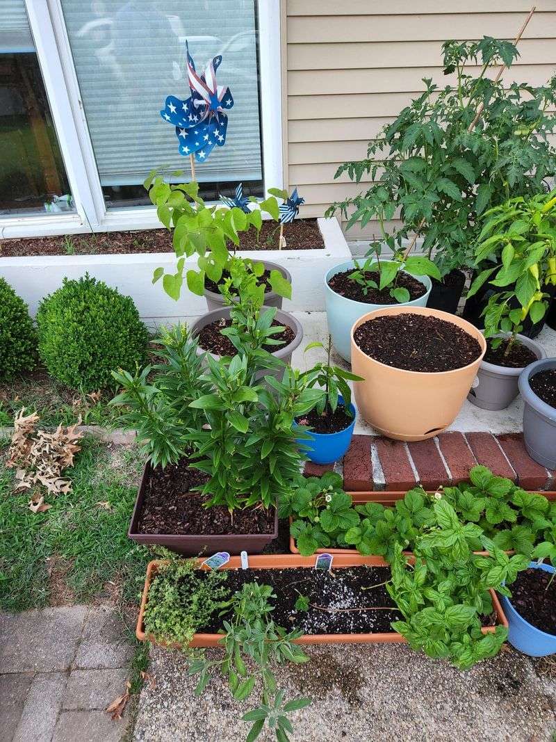 Leaving Loose Potted Plants Outdoors