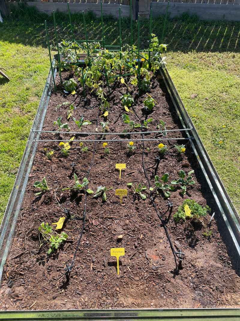 Avoid Overwatering During Humid Periods