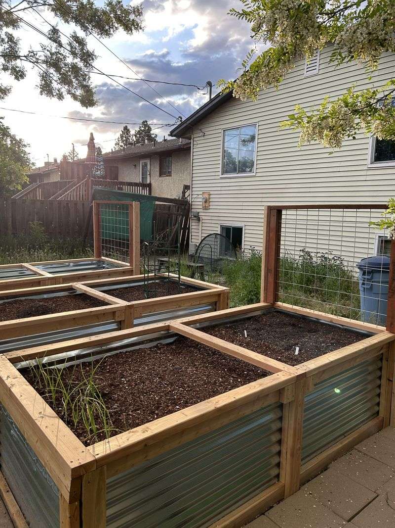 Build Up Raised Beds When Needed