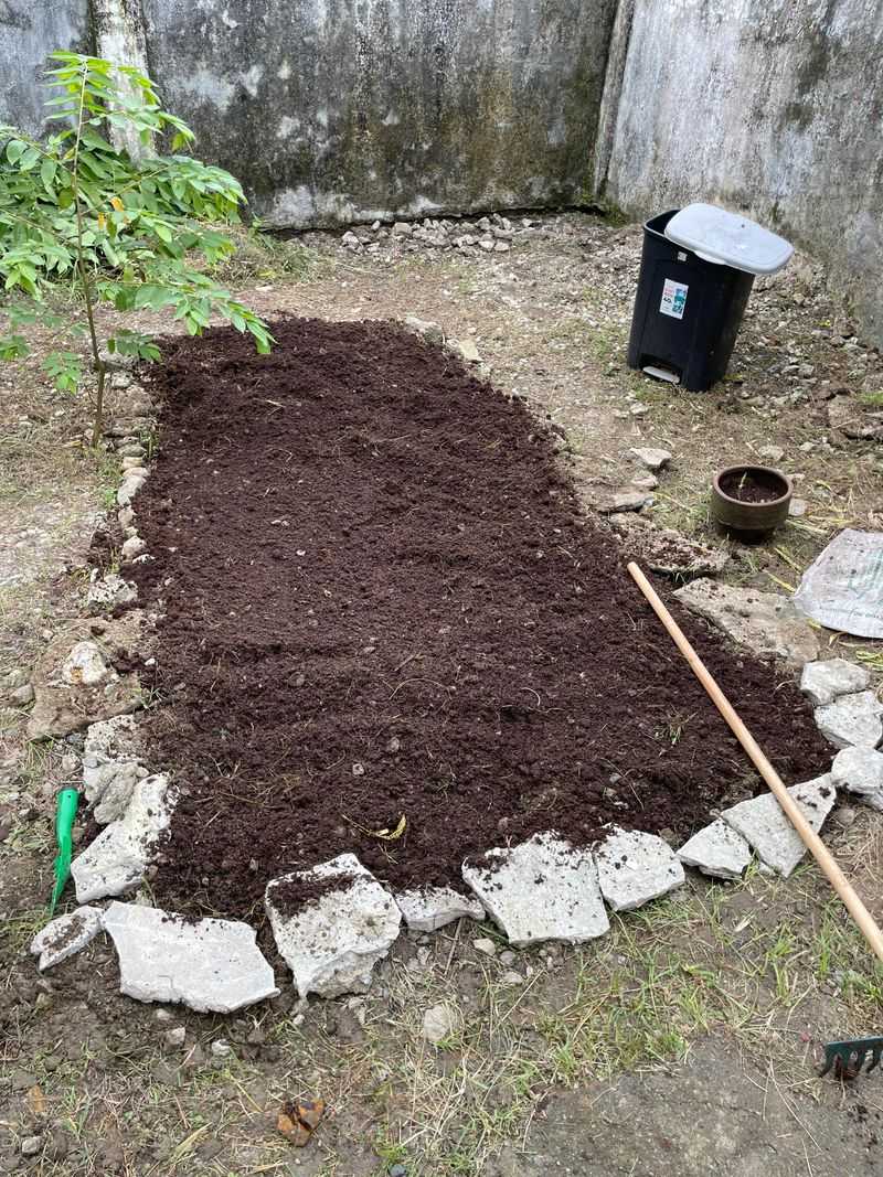Use Well-Draining Soil Mixes