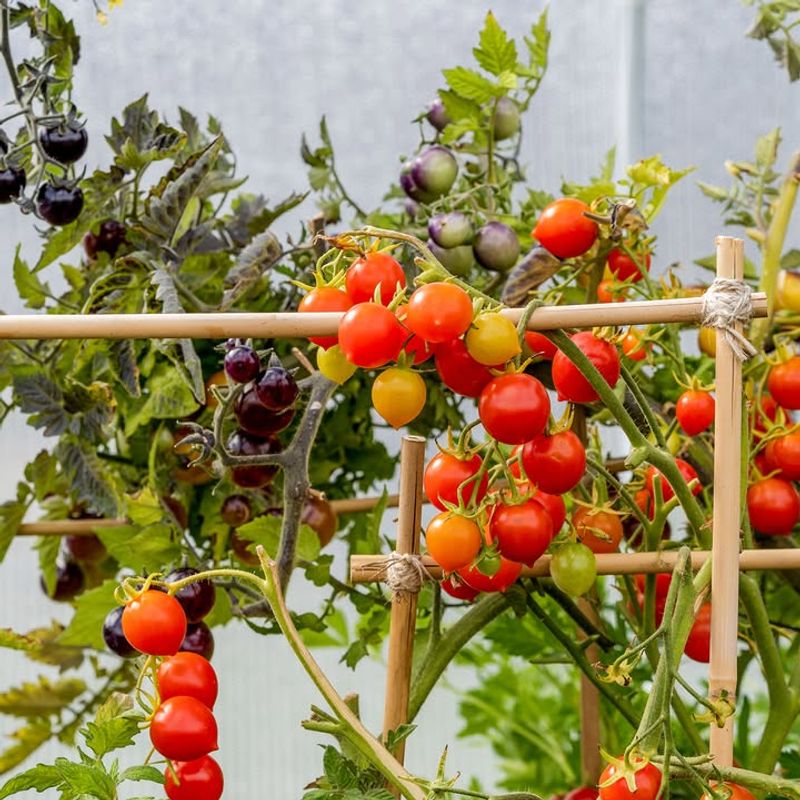 Use Vertical Support Systems