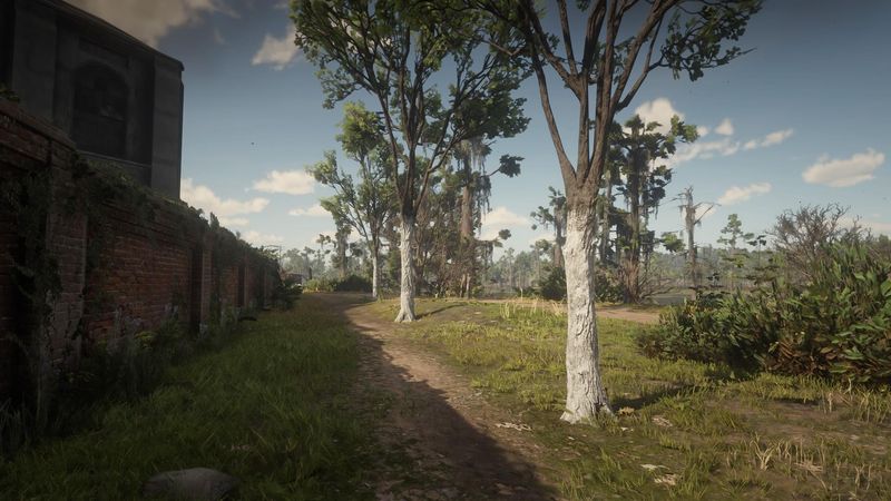 Choosing the Right Type of Paint or Whitewash