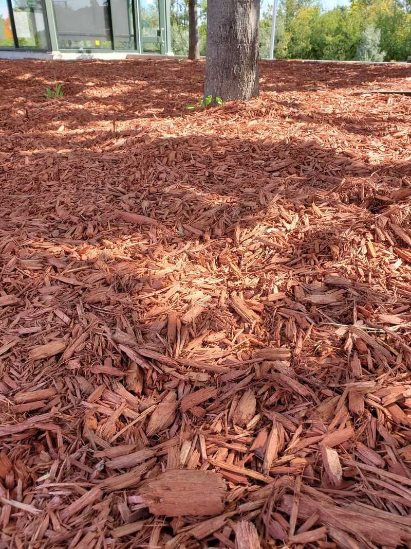 Choosing The Right Mulch For Central Oregon