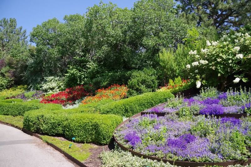 Grow Fragrant Herbs Along Walking Paths