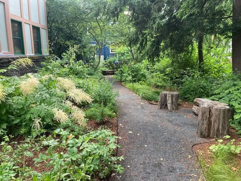 Creating Layers of Canopy for Proper Light Filtration