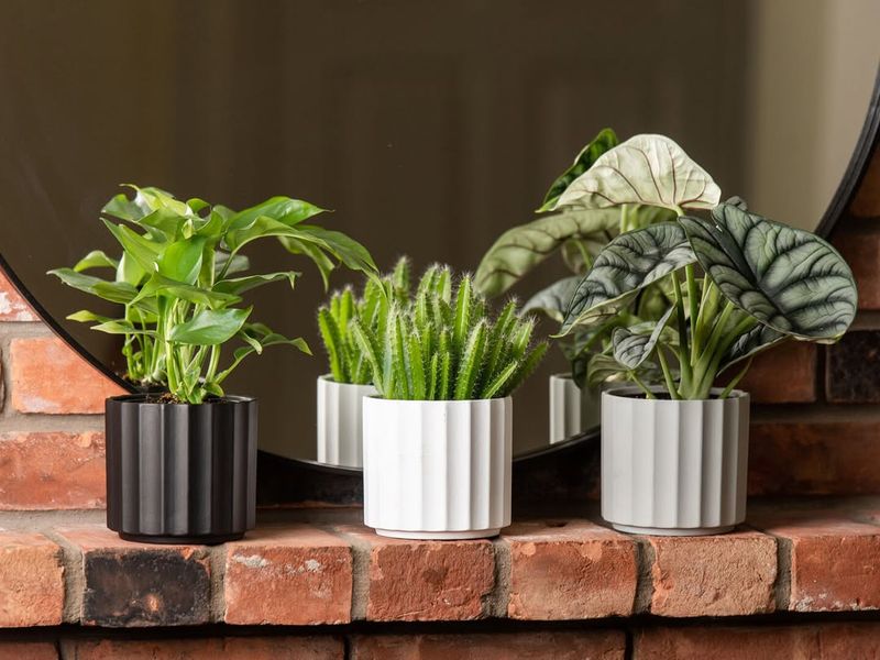 Keep Pots Away From Drafty Areas