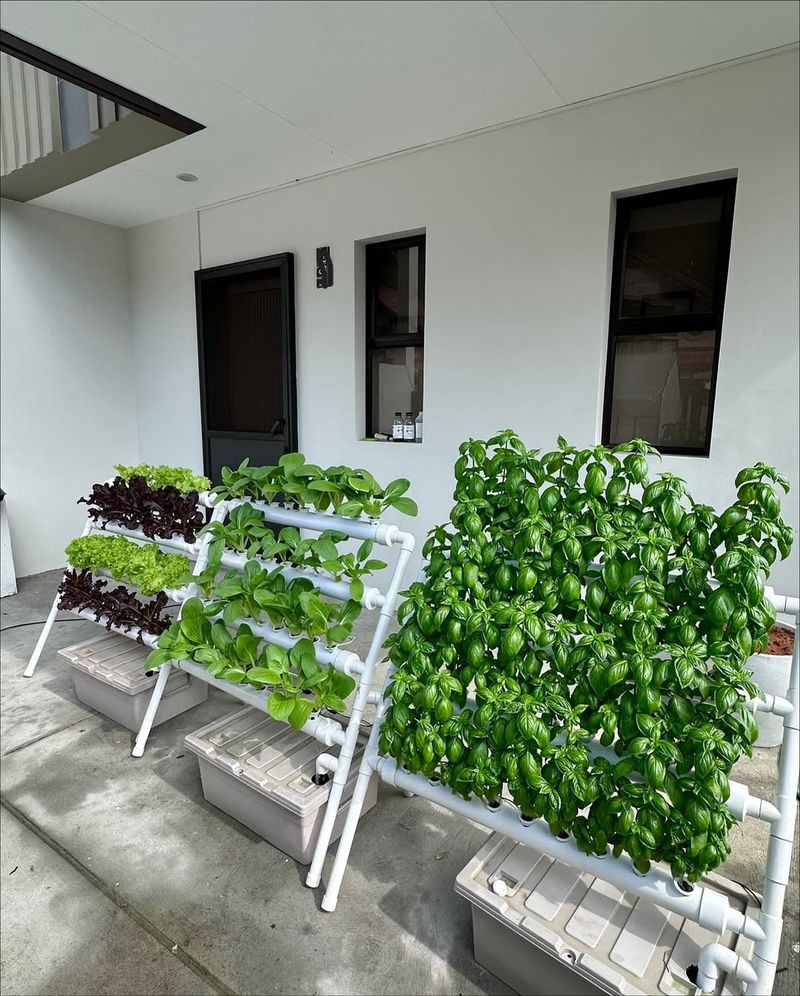 Perfect Space for Indoor Gardening Hobbies