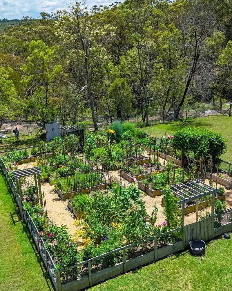 Plan Spring Planting Layouts And Order Seeds Early