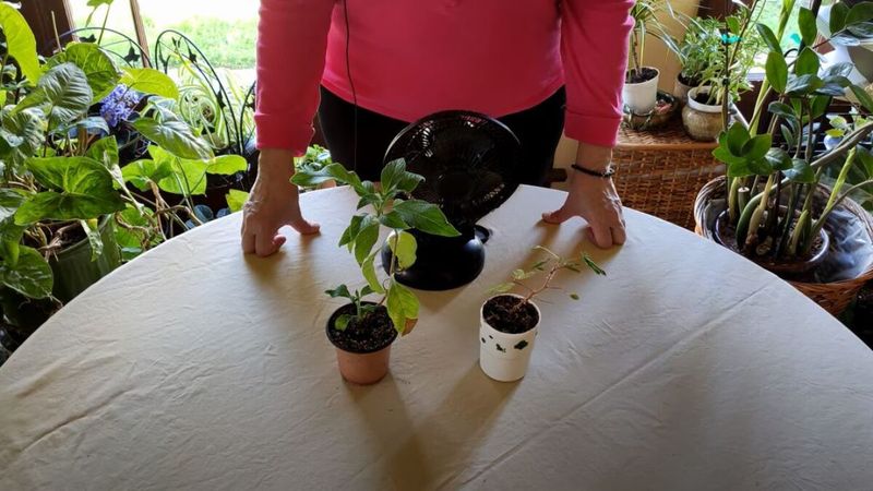 Improve Air Circulation Without Creating Drafts