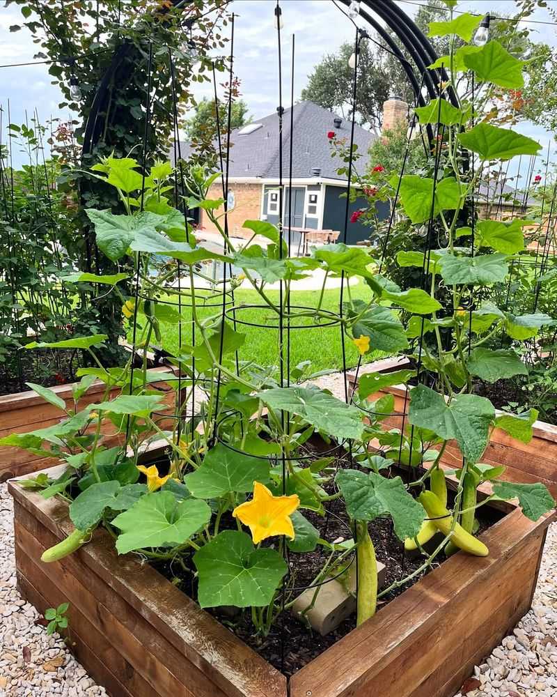 Build Raised Garden Beds