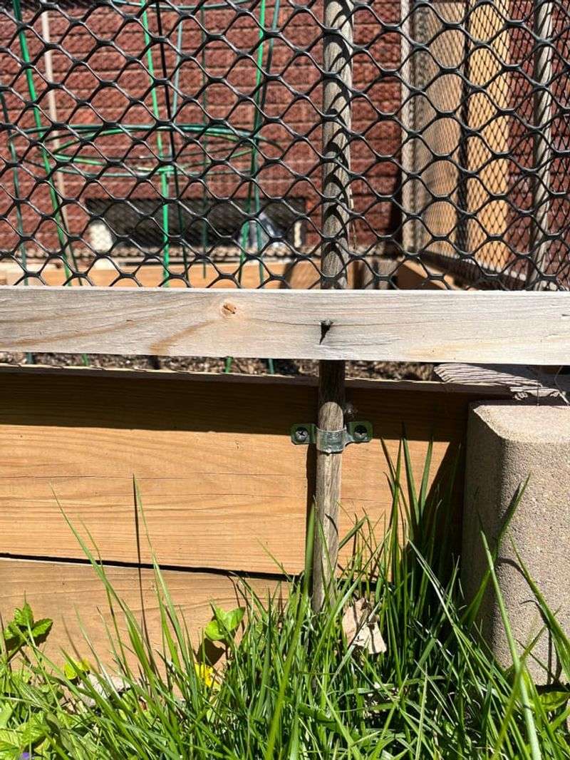 Install Proper Fencing