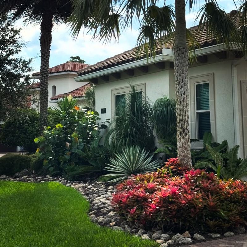 Create Drought-Tolerant Plant Zones