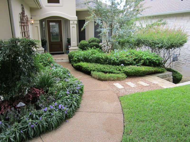 Trim Trees And Shrubs To Frame Your Home