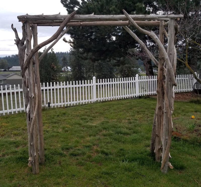 Incorporate Driftwood And Natural Branch Structures