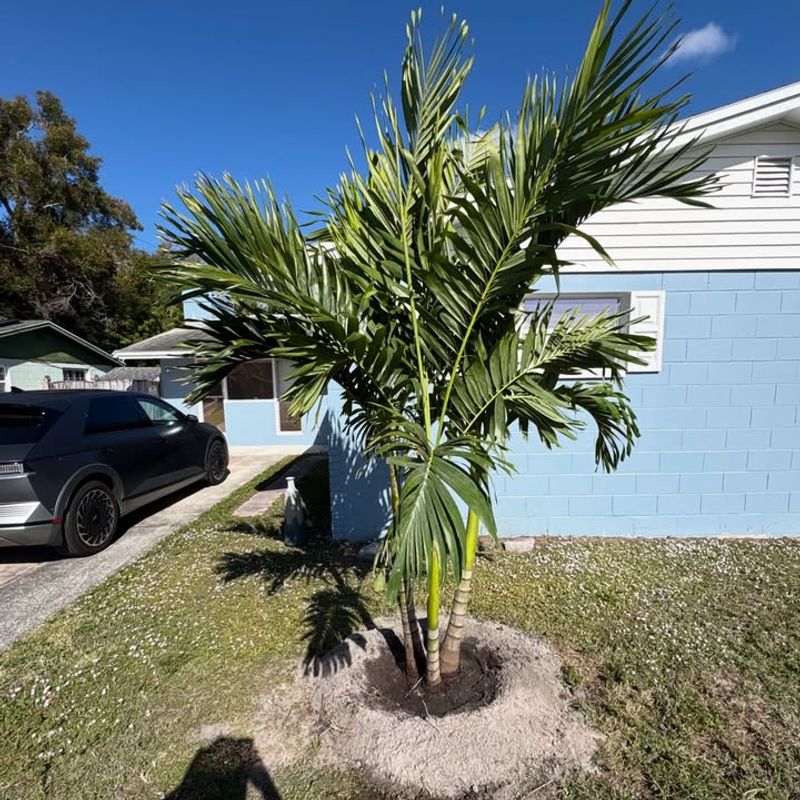 Improve Drainage In Saturated Areas