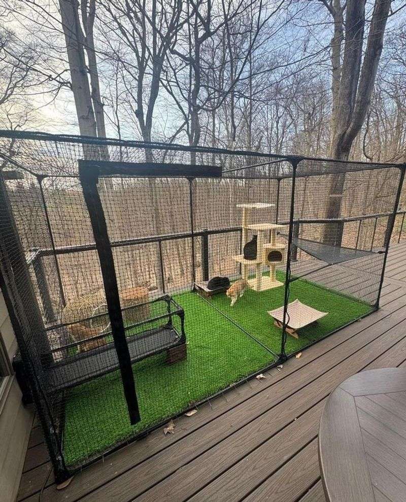 Keeping Cats Indoors Or Using Cat Enclosures