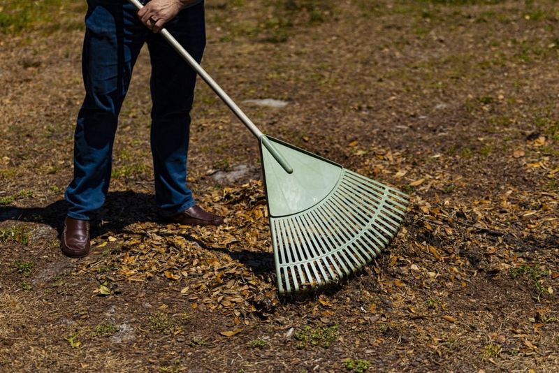 Disposing of Yard Waste Through Burning