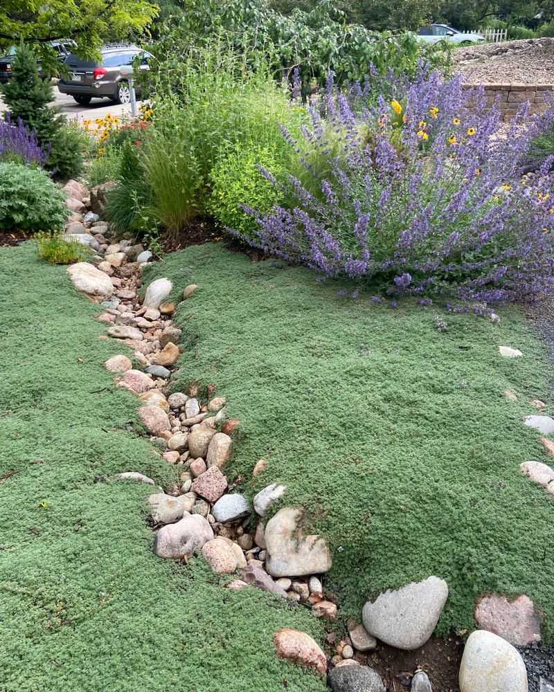 Overusing High-Maintenance Lawns Instead Of Florida-Friendly Groundcovers