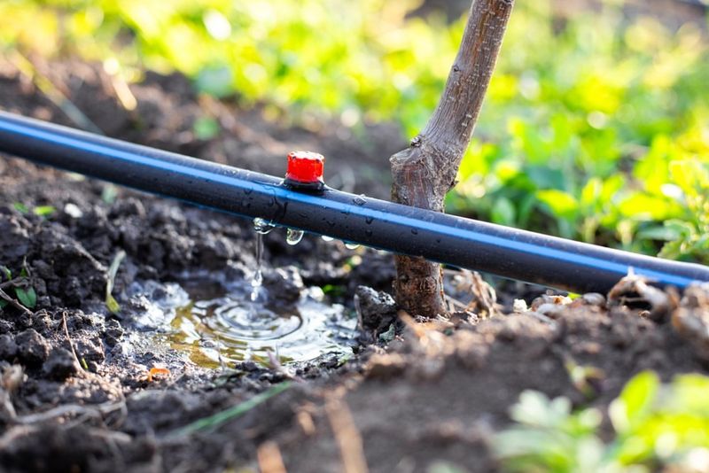 Adding Or Changing Irrigation Systems