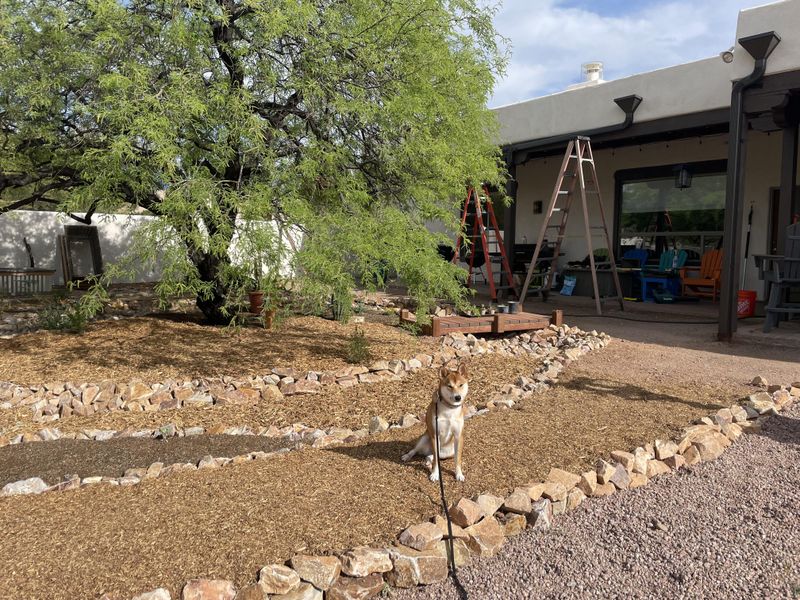 Managing Bare Soil After Windy Seasons