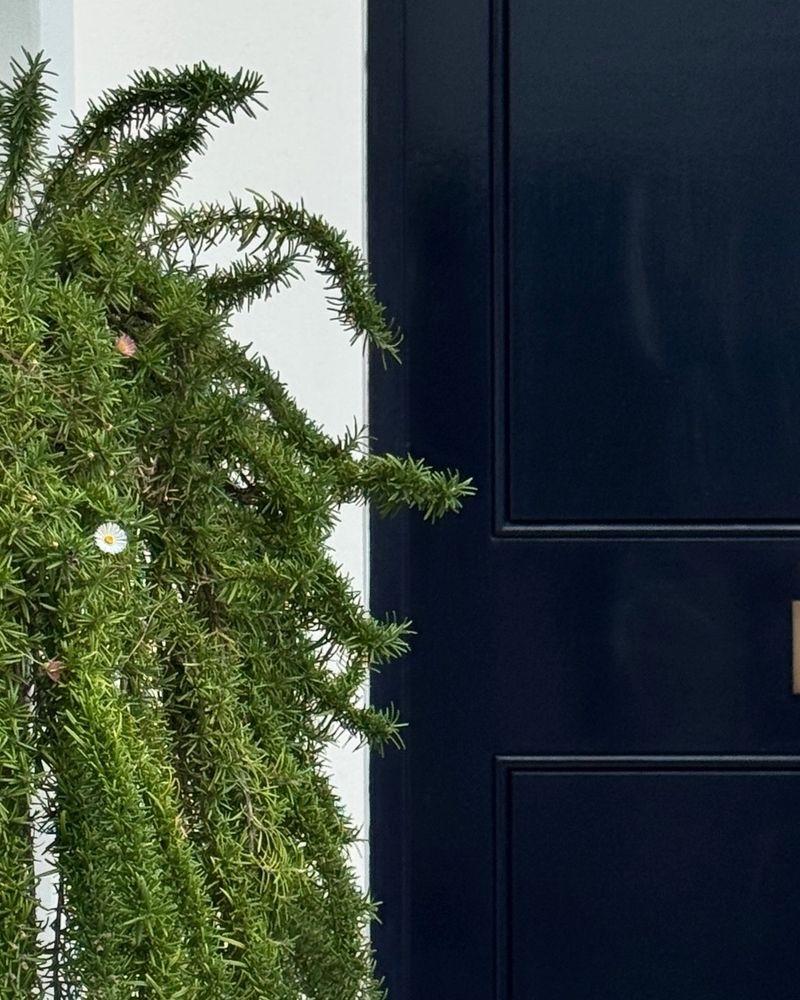 Natural Fragrance At Your Entry