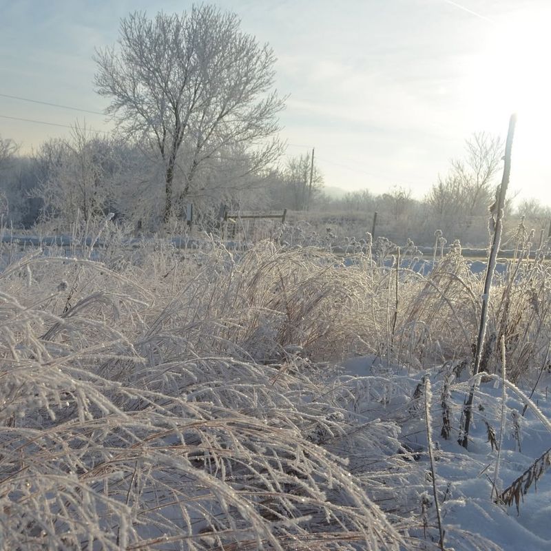 Providing Slow-Release Moisture for Spring Growth