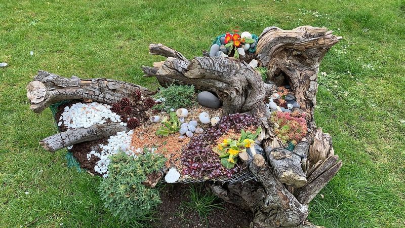 Leaving Fallen Branches In Place